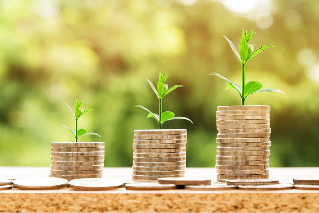 investments growing
